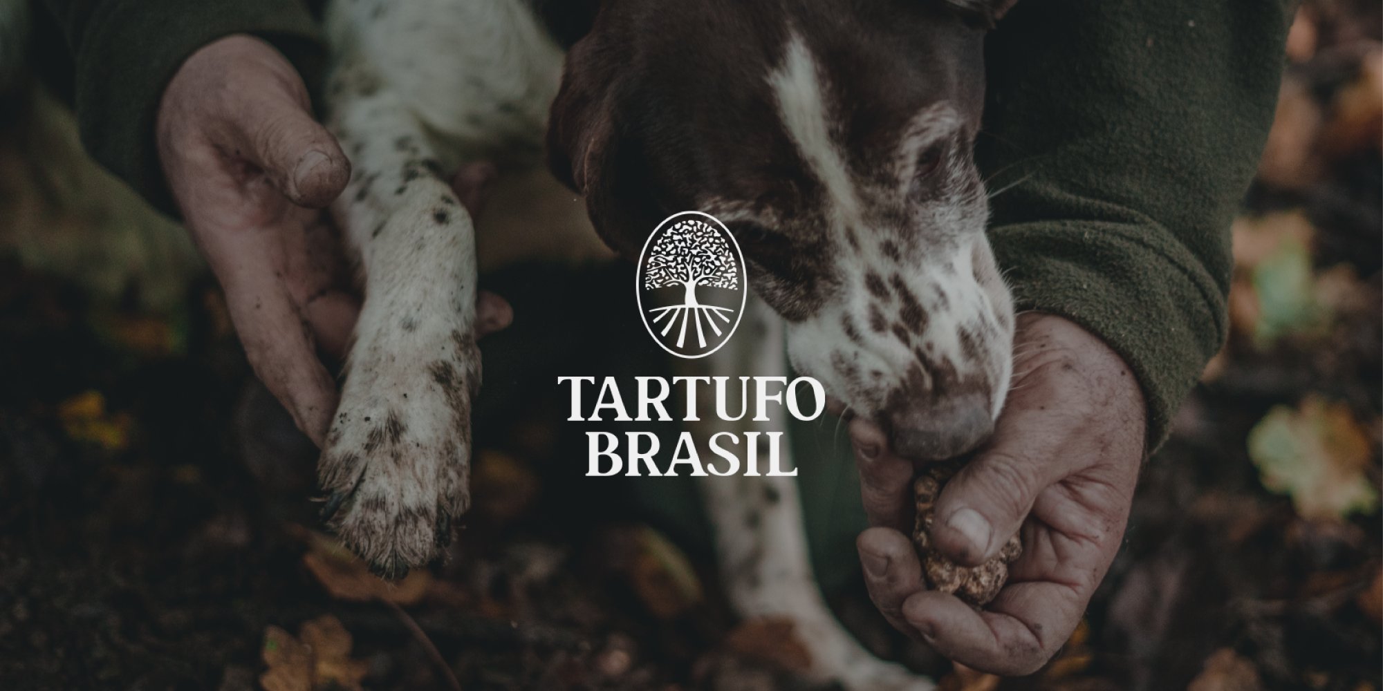 Empório Adamantis: Rebranding - Tartufo Brasil